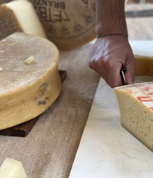 World Cheese Capital Bergamo